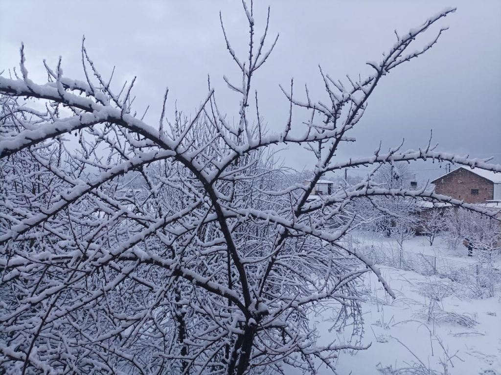 Για τσουχτερό κρύο και χιόνια προειδοποιεί ο Σάκης Αρναούτογλου | tanea.gr