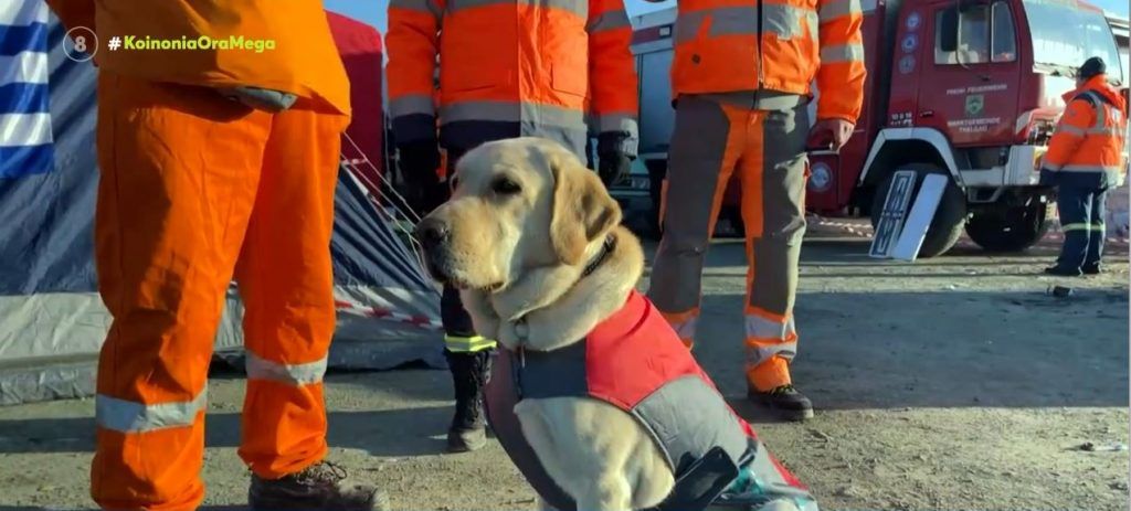 Σεισμός στην Τουρκία: Πώς η σκυλίτσα Sugar της ΕΜΑΚ έσωσε εγκλωβισμένο