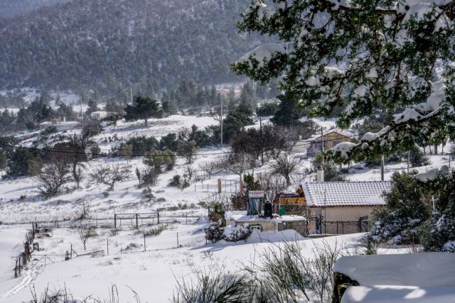 Ελικόπτερο ζητάει ο δήμαρχος Μαντουδίου – Λίμνης – Αγίας Αννας για αεροδιακομιδή ασθενών