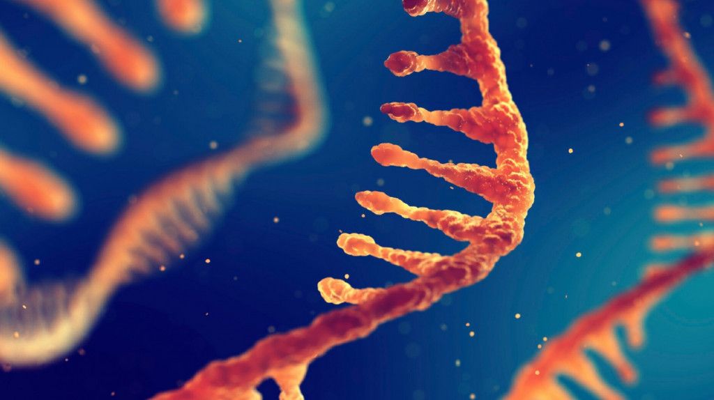 Καρκίνος: Η BioNTech ξεκινά φέτος κλινικές δοκιμές εμβολίων mRNA