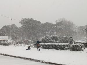 Χιόνι στην Αθήνα: Η «Μπάρμπαρα» σφυροκοπά τη χώρα – Ποιες περιοχές έχουν ντυθεί στα λευκά