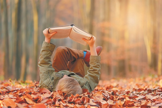 Παπαγαλία από την καρδιά