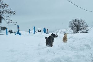 Καιρός: Η αιφνίδια στρατοσφαιρική θέρμανση φέρνει πολικό ψύχος