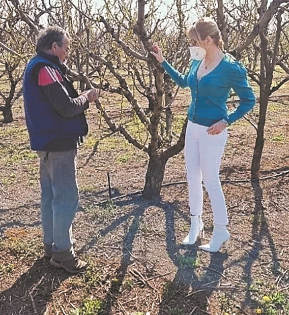 Τα ψεύτικα τα λόγια, τα μεγάλα