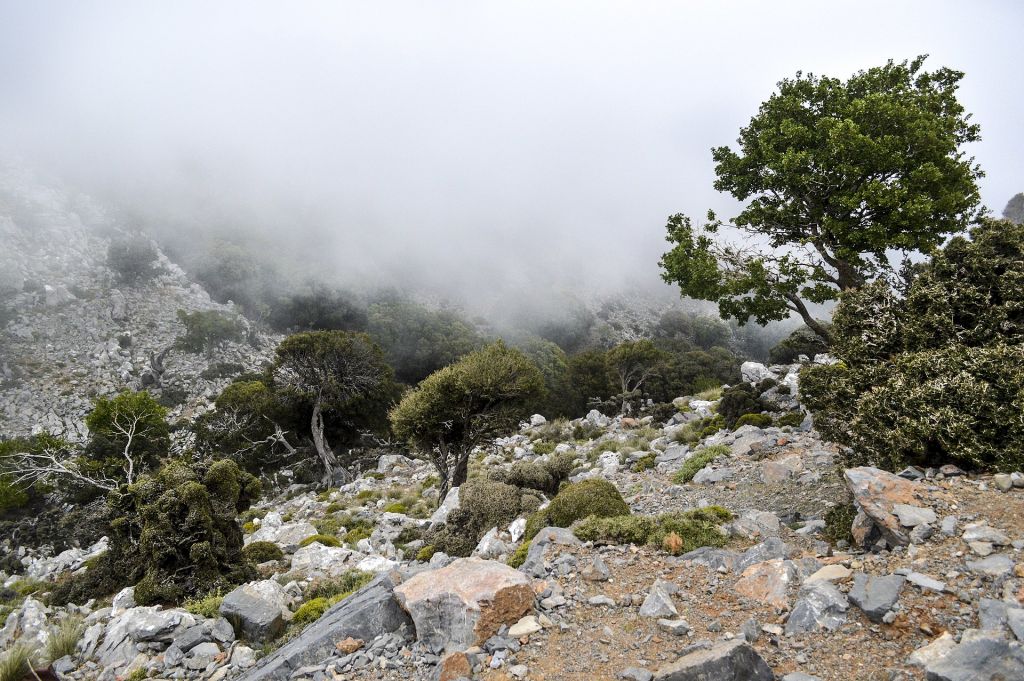 Στα Απάτητα Βουνά εντάσσεται το όρος όπου γεννήθηκε ο Δίας | tanea.gr