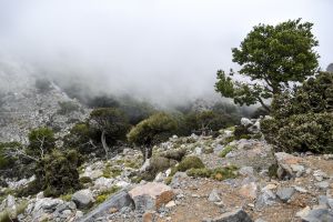 Στα Απάτητα Βουνά εντάσσεται το όρος όπου γεννήθηκε ο Δίας