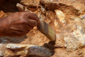 Καταγγελία για «μαφιόζικο χτύπημα» σε αρχαιολόγο