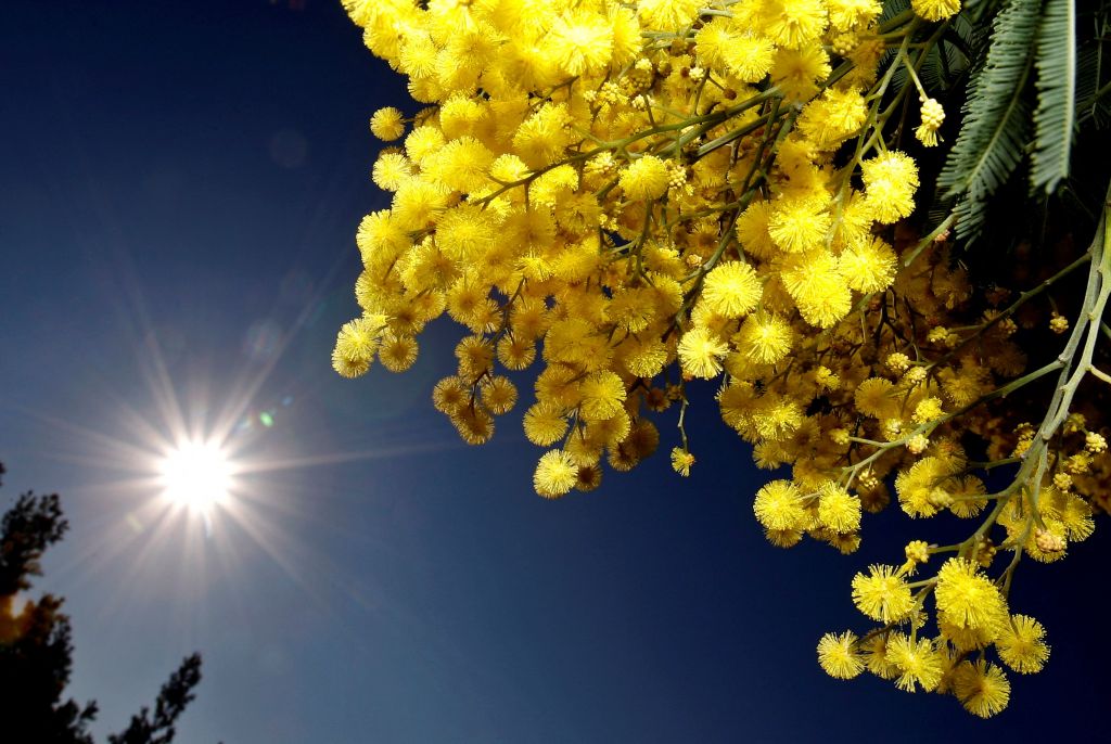 Η Ευρώπη έζησε φέτος τον δεύτερο θερμότερο χειμώνα της