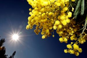 Η Ευρώπη έζησε φέτος τον δεύτερο θερμότερο χειμώνα της