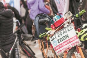 Ευρωπαίοι φαιοκόκκινοι