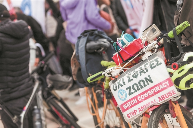 Ευρωπαίοι φαιοκόκκινοι