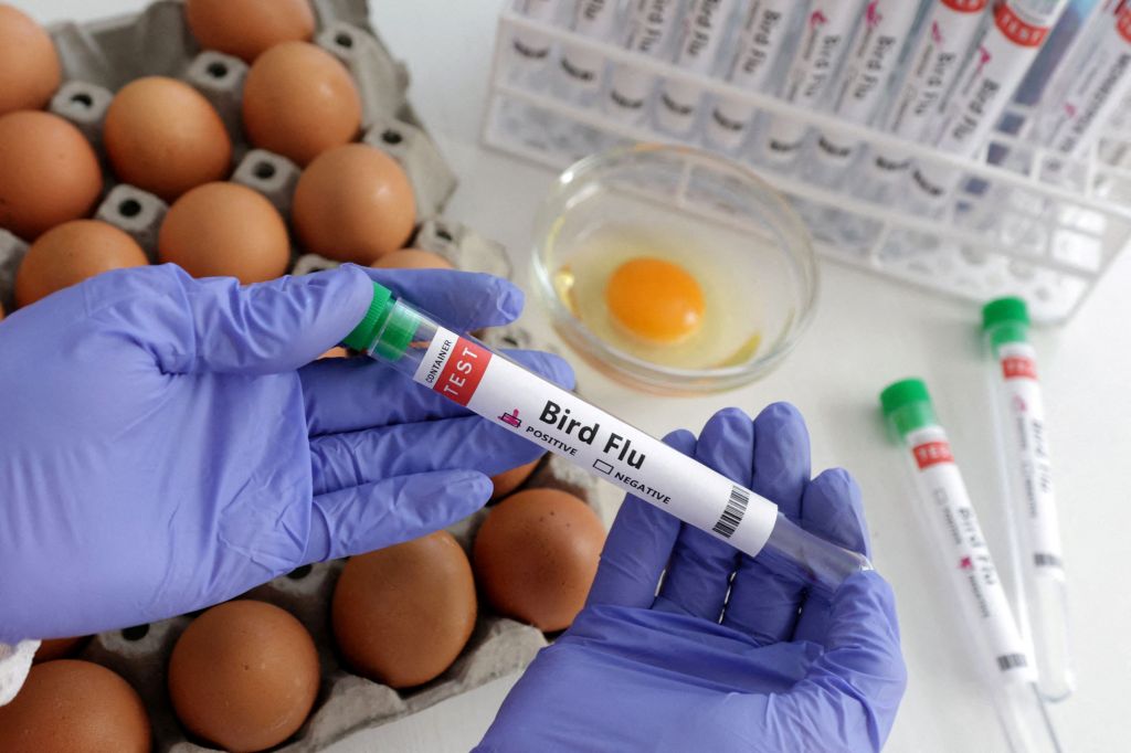 Γρίπη των πτηνών: Κρούσμα H5N1 στην Κίνα – Φόβοι μετάδοσης από άνθρωπο σε άνθρωπο