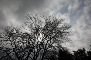 Εντυπωσιακή πτώση της θερμοκρασίας από τη Δευτέρα βλέπει ο Αρναούτογλου