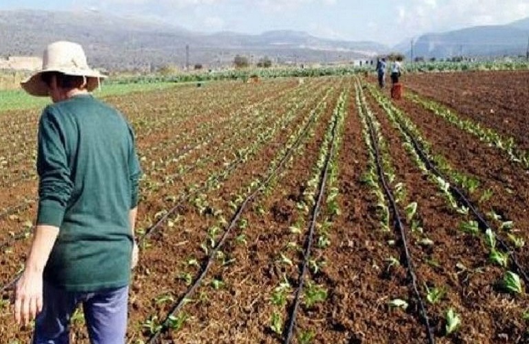 Πανελλαδική Επιτροπή Μπλόκων: Ετοιμάζονται για Αθήνα δενδροκαλλιεργητές και αμπελοκαλλιεργητές