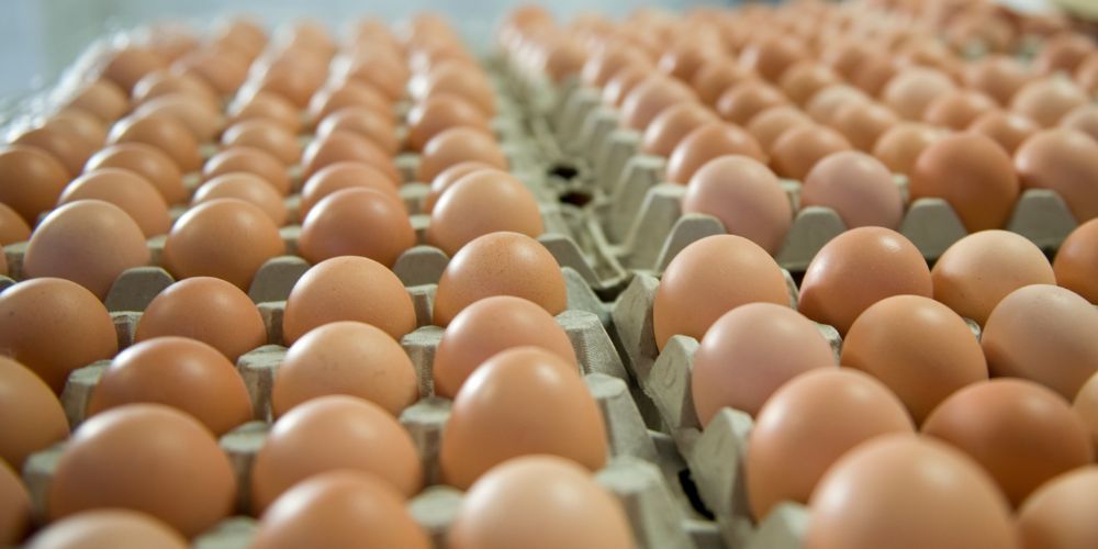 Πανάκριβα τα αβγά εταιρείας στο ίδιο σουπερμάρκετ όταν βγαίνουν από το καλάθι του νοικοκυριού | tanea.gr