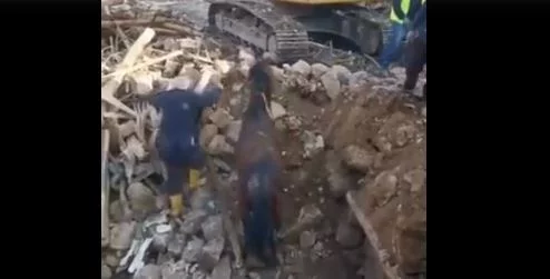 Τουρκία: Άλογο ανασύρθηκε ζωντανό μετά από 21 ημέρες κάτω από τα ερείπια κτιρίου
