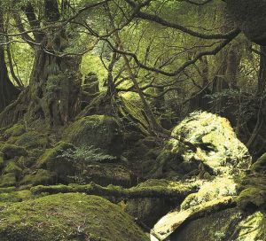 Ο οικολόγος Μαρξ