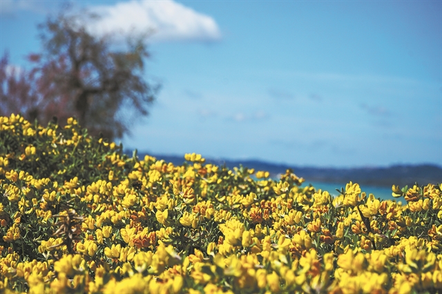 Η Ελλάδα του 2040