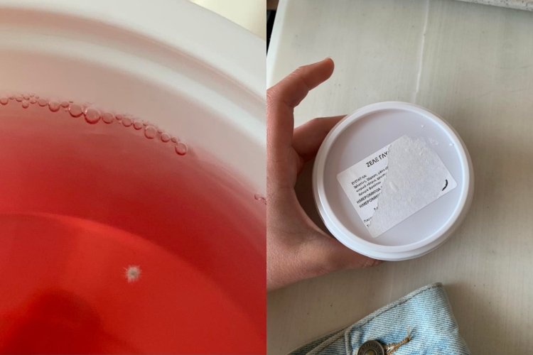 Μοίρασαν ληγμένα επιδόρπια με μούχλα σε φοιτητές