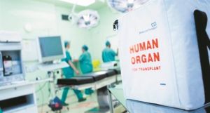 Θύελλα αντιδράσεων για τις δηλώσεις Κούγια – Τι απαντούν οι εντατικολόγοι