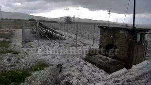 Χαλαζόπτωση στη Λαμία: Μέσα σε 4 λεπτά άσπρισαν όλα