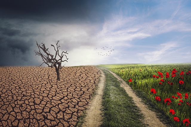 Κλιματική Αλλαγή: Η «Τελευταία Γενιά» πριν από την καταστροφή του πλανήτη;