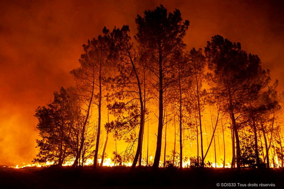 Κλιματική αλλαγή: Η Γαλλία απαγορεύει το κάπνισμα στα δάση