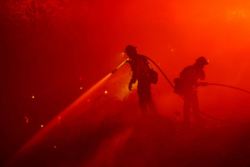 Αυτό είναι το πιο θανατηφόρο ζώο για τον άνθρωπο