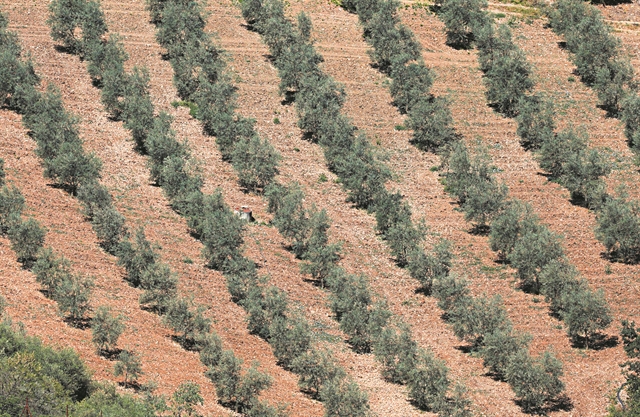 Επιδοτούμενες… λιτανείες για να βρέξει στην Ισπανία