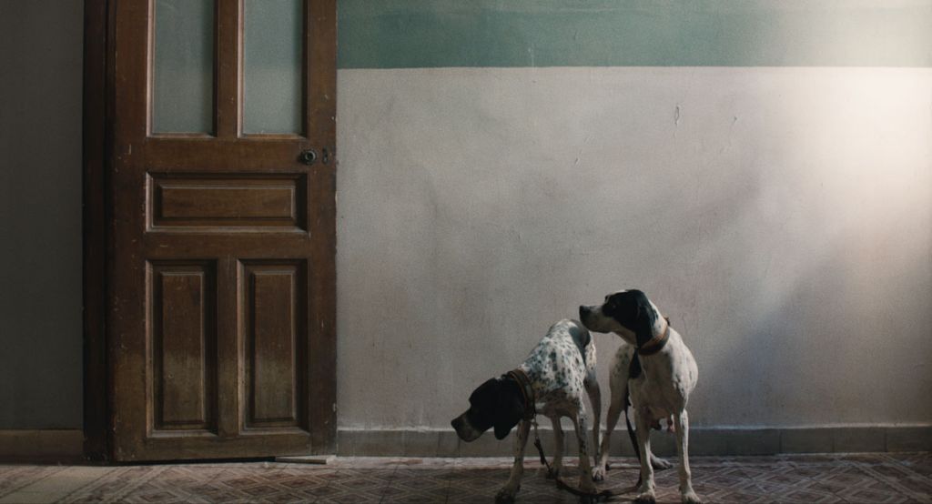 Janis Rafa: Η μοναδική Ελληνίδα της Μπιενάλε του 2022 παρουσιάζει την πρώτη της ατομική έκθεση στην Ελλάδα