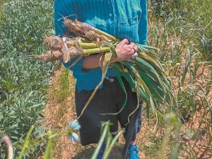 Αυγουστιάτικη εξόρμηση στα νησιά!