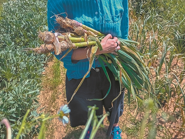 Αυγουστιάτικη εξόρμηση στα νησιά!
