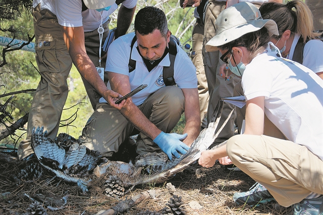 Ελληνικό CSI για την εξιχνίαση εγκλημάτων κατά της άγριας ζωής