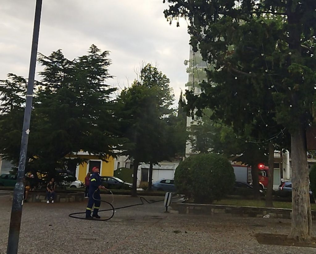 Κάλεσαν την Πυροσβεστική για να κατεβάσει… μπάλα από  δέντρο στη Λάρισα