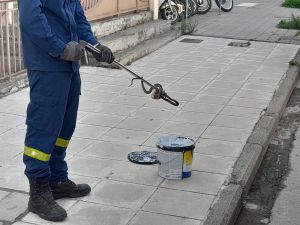 Πανικός: Φίδι λαχτάρησε περαστικούς