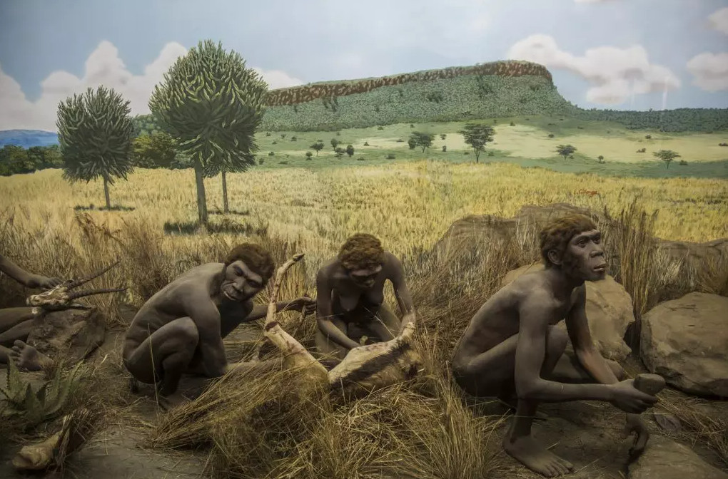 Ποιοι έθαβαν τους νεκρούς τους 100.000 χρόνια πριν τον Homo sapiens; | tanea.gr
