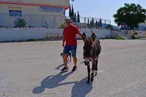 Εκλογές 2023: Πήγε να ψηφίσει μαζί με το γαϊδουράκι του