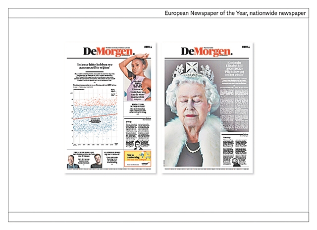 Ο γορίλας, ο ελέφαντας και το μέλλον του Τύπου