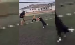 Ντίβα: Ο σκύλος «φαινόμενο» στη Μύκονο που σκοράρει με κεφαλιά, κλείνει τα φώτα και φέρνει πατατάκια