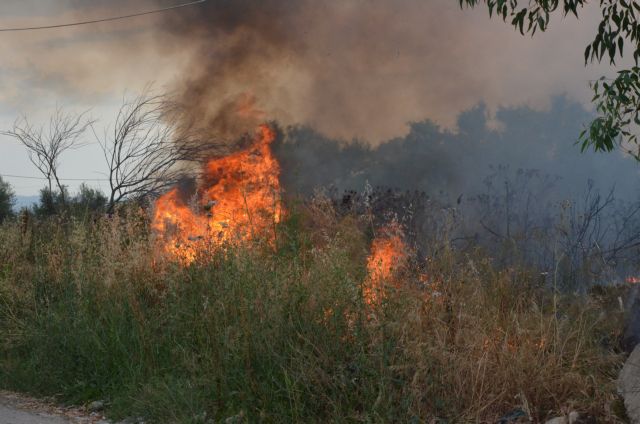 Φωτιά τώρα στη Ζάκυνθο: Καίει χαμηλή βλάστηση