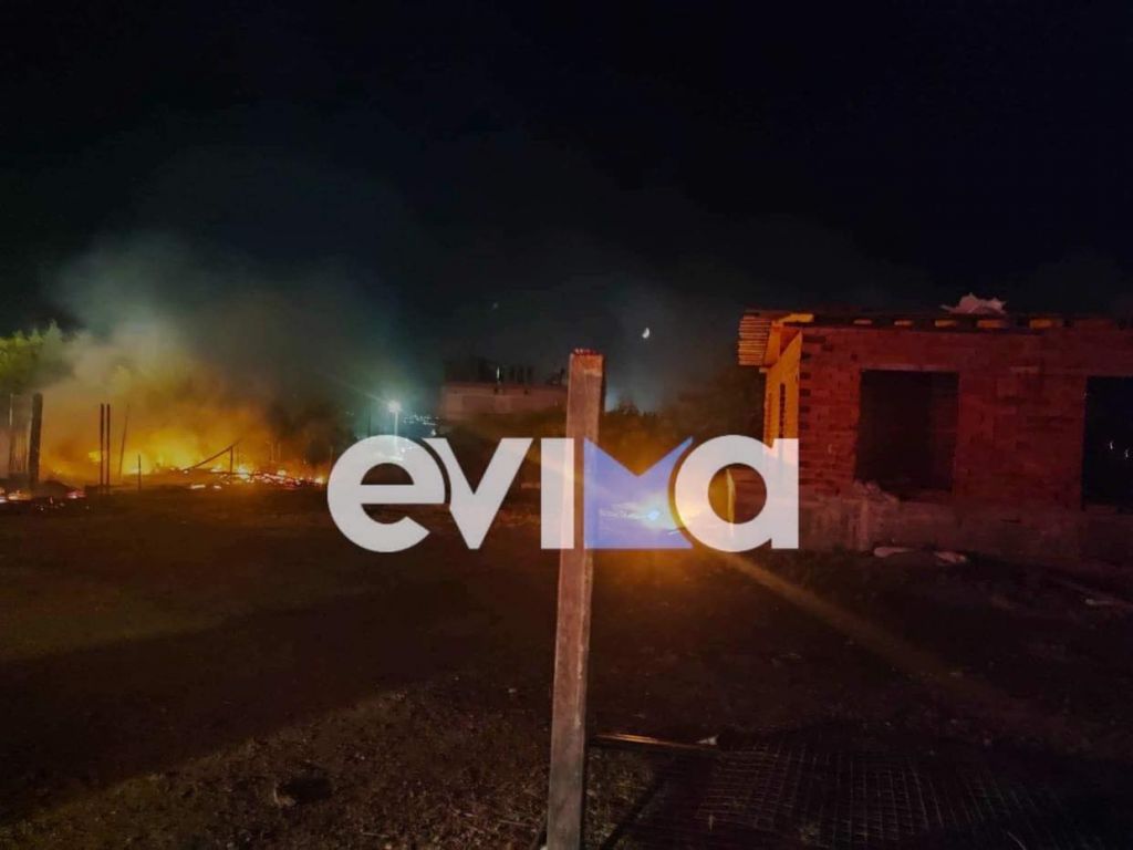 Εύβοια: Μεγάλη φωτιά – Κάηκαν δύο σπίτια στη Χαραυγή