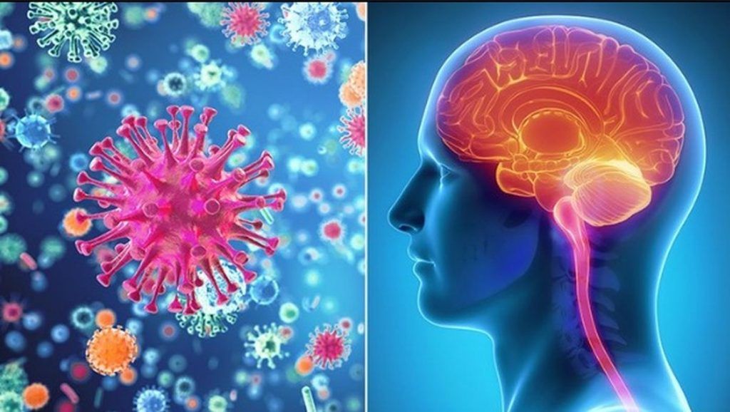 Συναγερμός για σπάνιο μύκητα που προκαλεί μηνιγγίτιδα