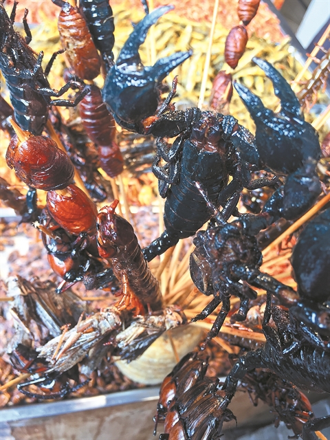 Ακρίδες, γρύλοι και σκαθάρια στο… πιάτο μας