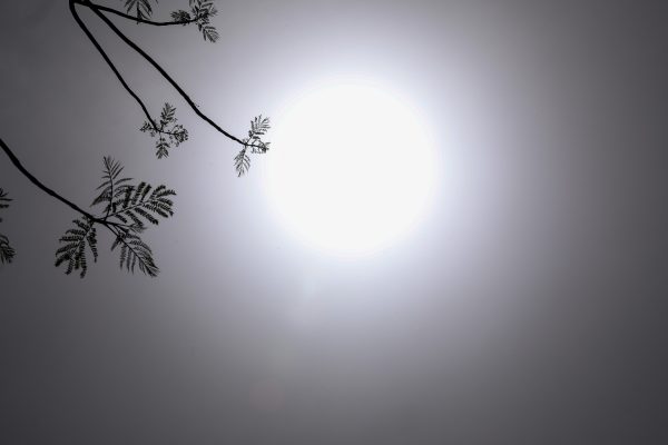 Καιρός σήμερα: Λιακάδα και άνοδος της θερμοκρασίας