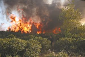 Η φωτιά στην τηλεόραση