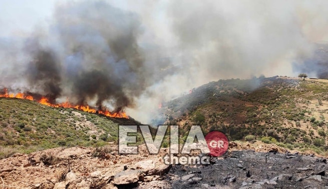 Φωτιά στην Κάρυστο: Εκκενώνεται το χωριό Αγιοι