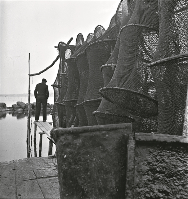 Η συνείδηση της εποχής μας