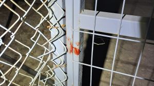 Κουκουλοφόρος τη χτύπησε με κοντάκι όπλου για να τη ληστέψει