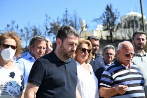 Νίκος Ανδρουλάκης για φωτιές: Ζήτησε ενίσχυση των μηχανισμών πρόληψης