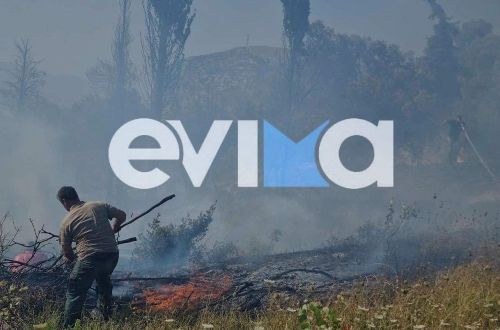 Εύβοια: Φωτιά στην Κύμη – Καίγεται αγροτοδασική έκταση